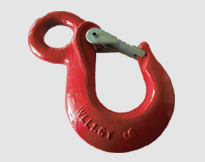 EYE SLING HOOK WITH CAST LATCH